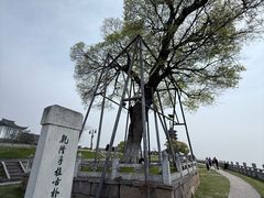 -观潮胜地公园