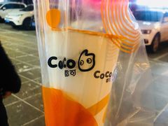 -CoCo都可(西安路民勇店)