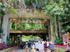 -西双版纳原始森林公园