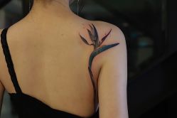-杨卓刺青工作室·YZ STUDIO