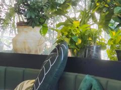 -东湖34号餐厅·湖北菜