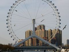 -天津之眼摩天轮