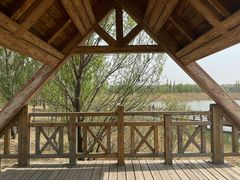 -野鸭湖国家湿地公园