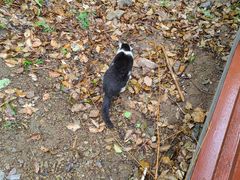 -上海佘山国家森林公园天马山园