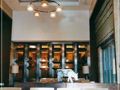 大堂-惠州白鹭湖雅居乐喜来登度假酒店-盛宴标帜西餐厅