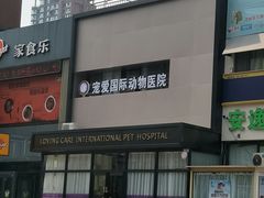 门脸-宠爱国际动物医院· 猫科· 外科·中兽医(长白店)
