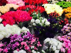-双季花艺园艺市场(浦东店)