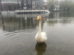 -银树楼(紫玉山庄东区店)