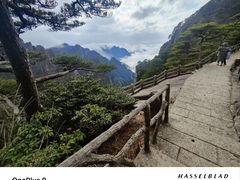 -黄山风景区