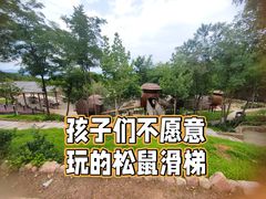 -欢乐松鼠谷