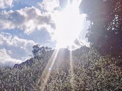 -广州市流溪河国家森林公园