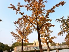 -元大都城垣遗址公园