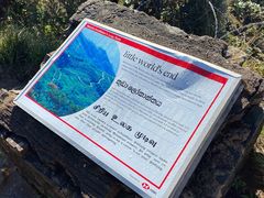 -霍顿平原国家公园