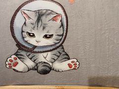 -宠爱国际动物医院· 猫科· 外科·中兽医(长白店)