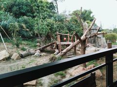 -宁波野生动物园