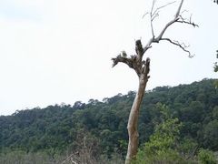 -巴哥国家公园