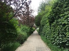 -元大都城垣遗址公园