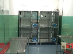 -顺强宠物诊所·狂犬免疫·夜诊·骨科(嘉定店)