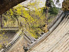 -潭柘寺景区