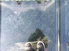 -梦幻奥陶纪景区