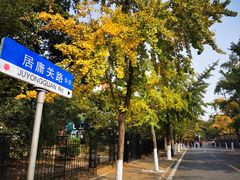 -八大关景区
