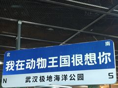 -海合安武汉极地海洋公园