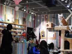 大堂-小时光咖啡馆(开森度假森林店)