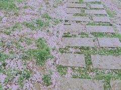 -苏州上方山国家森林公园
