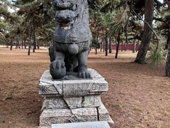 -北陵公园