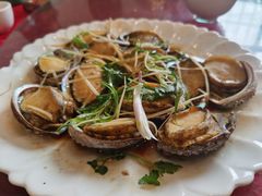 -鸿达渔港