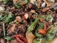 -食鸡公社辣子鸡·潍坊菜·烧烤