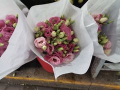 -循礼门鲜花花市(武汉循礼门店)