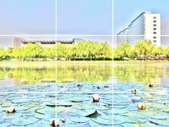 -上海市第一人民医院(松江南部)