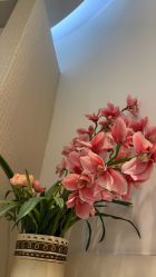 -天津伊美尔医疗整形美容专科医院