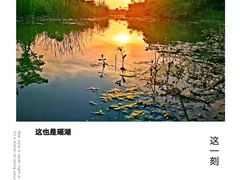 -瑶湖郊野森林公园