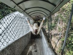 -九龙江国家森林公园