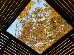 -春晖园度假酒店温泉