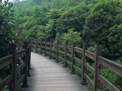 -凤栖山