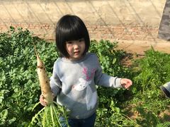 -大自然农场蔬菜草莓采摘园