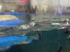 -太平洋海底世界