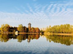 -洋湖国家湿地公园