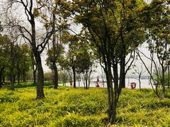 -上海山野camping·户外天幕烧烤·团建拓展营地