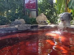 -中家鑫园温泉酒店鑫悦汤泉