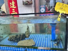 -滑记海鲜饭店·老字号(海鲜街店)