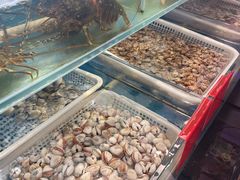 -华盛丰温州大排档(东三环南路店)