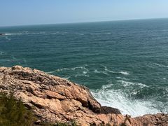 -广东惠东海龟国家级自然保护区