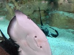 -珠海长隆海洋王国