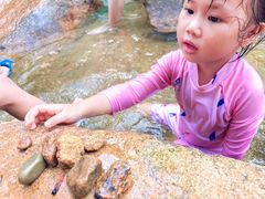 -广州白江湖森林公园