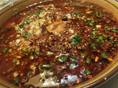 -陈麻婆豆腐总店