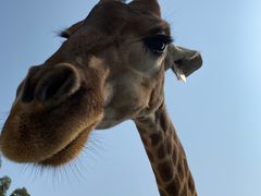 -泉州海丝野生动物世界